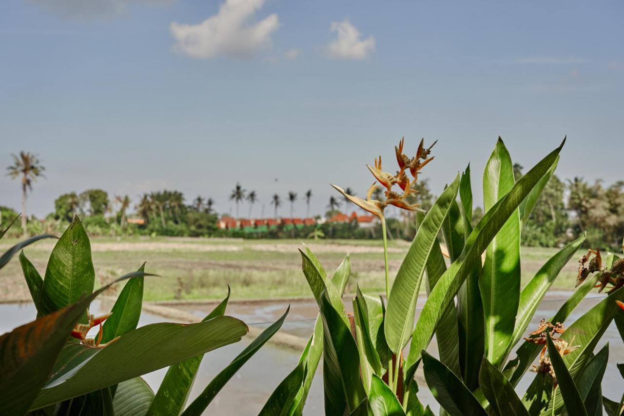 Bruann Villa 3 Pererenan, Seseh, Canggu, Amazing View, 2 Bedroom Mengwi Exterior foto