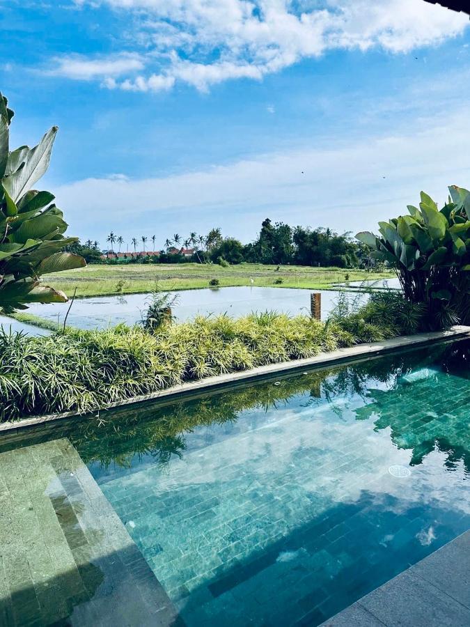 Bruann Villa 3 Pererenan, Seseh, Canggu, Amazing View, 2 Bedroom Mengwi Exterior foto